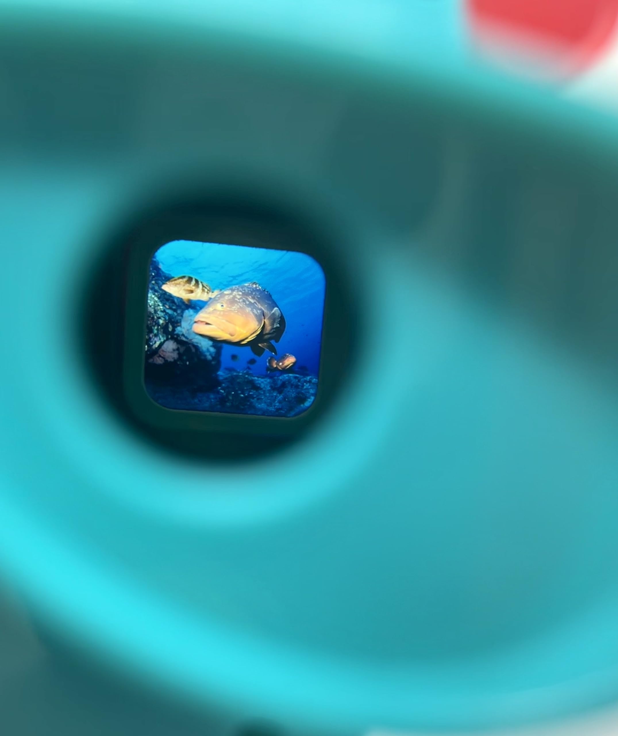WARM FUZZY Toys 3D Viewfinder (Sea Life) - Viewfinder for Kids & Adults, Classic Toys, Slide Viewer, 3D Reel Viewer, Retro, Vintage Toys with 3 Reels - Contains 21 High Definition 3D Images