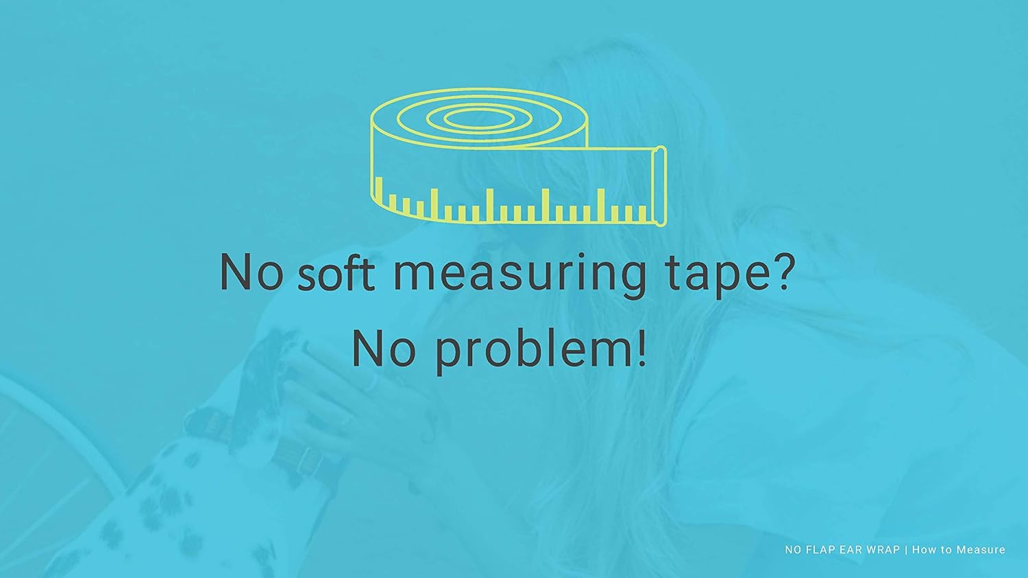 no flap ear wrap petsmart