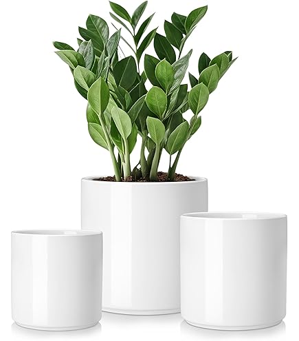 Amazon.com : SCHEURICH USA 53655 Indoor Planter, 6.5