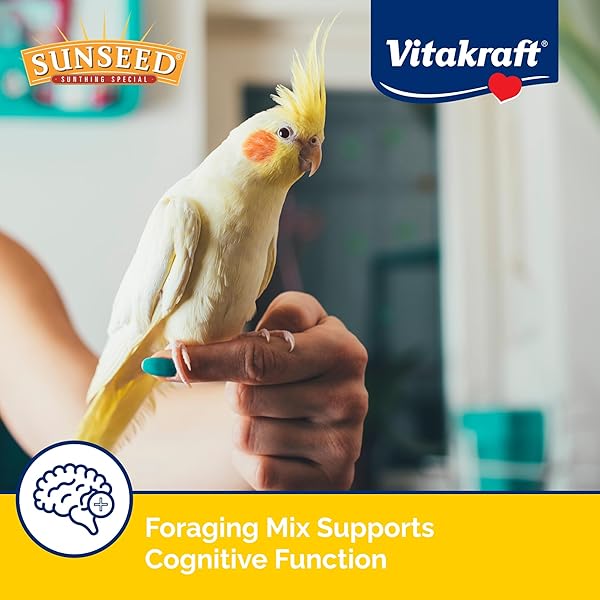 VITAKRAFT VITA SMART GOURMET COCKATIEL AND LOVEBIRD FOOD – VITAMIN-FORTIFIED – DAILY PET BIRD FOOD 4 POUND (PACK OF 1)