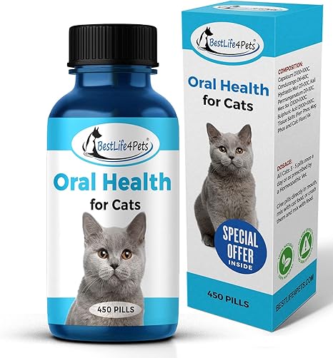 Amazon Com Cat Oral Health And Dental Care Supplement Natural Anti Inflammatory And Pain Relief For Feline Stomatitis And Tooth Infection Helps Control Tartar Plaque And Gum Disease Easy To Use