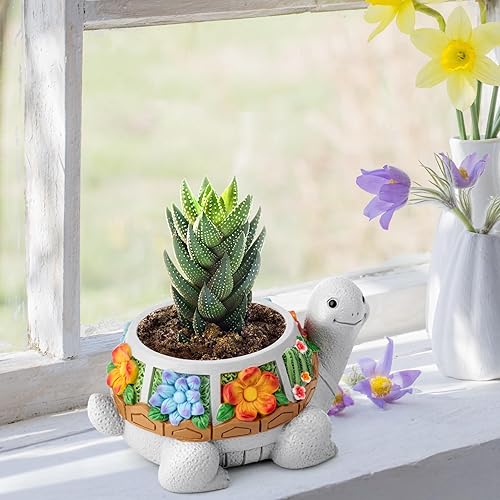 LESES Succulent Plant Pots, Turtle Planter Flower Pots with Drainage Hole, Cute  Planting Pots for Cactus, Succulent Planters for Indoor Plants Home Office  Garden Flower Pot Gifts for Plants Lover in Saudi