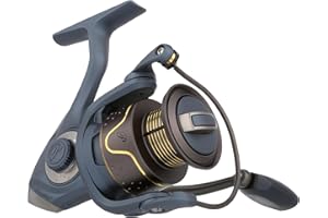 Pflueger President Spinning Fishing Reel