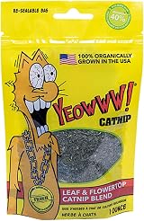 YEOWWW Catnip Bags 28.35 g Green 1 oz resealable bag YEOWWW view 1