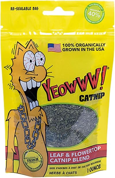 YEOWWW Catnip Bags 28.35 g Green 1 oz resealable bag YEOWWW