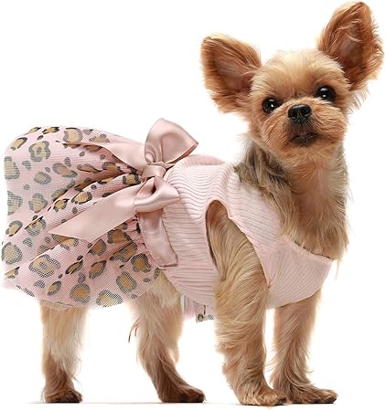 best fast acting flea treatment for dogs