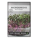 Sow Right Seeds - Red Cabbage Microgreen Seed for