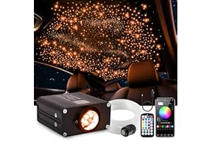 WEBUPAR Car Starlight Headliner Kit, Twinkle & Sound Activate RGBW 16W Fiber Optic Lights with Bluetooth APP & Remote Control, 600 pcs*0.03in*9.8ft, Star Lights for Car Decor
