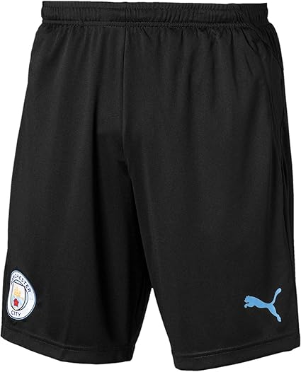 puma soccer shorts mens