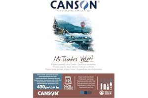 Canson Mi-Teintes Velvet Drawing Paper Pad, Cool Tones, Assorted Colors, Glue Binding, (260lb/430g), 12 Sheet, 9.4x12.6 inch, 1 Count