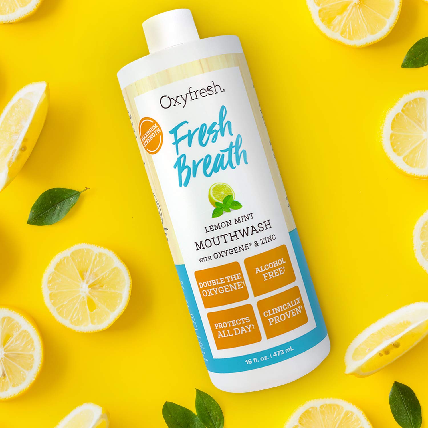 Oxyfresh Fresh Breath Lemon Mint Mouthwash | Award-Winning, Dentist-Recommended Bad Breath Mouthwash - Alcohol & Fluoride Free w/Aloe & Natural Essential Oils (1-16 oz Bottle) : Beauty