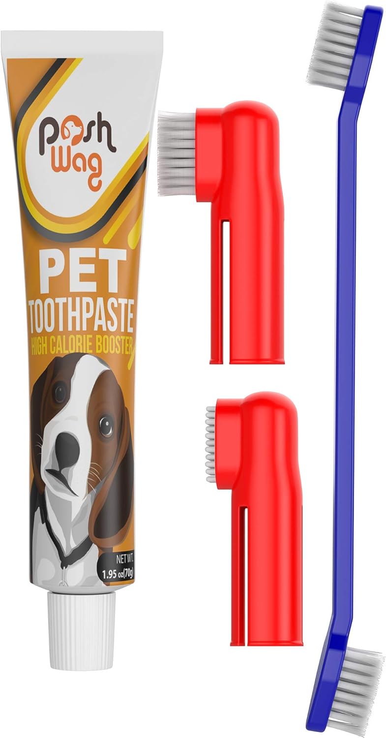 Dog Toothpaste and Toothbrush Set 