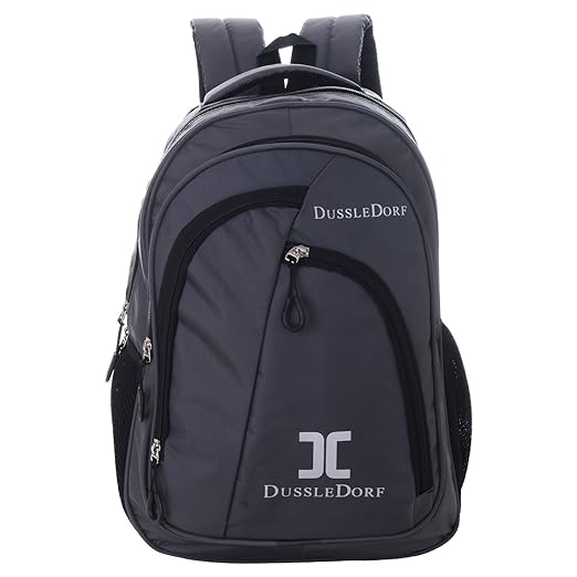 Dussledorf DUSS-IV-18 20L Laptop Backpack (Gray)