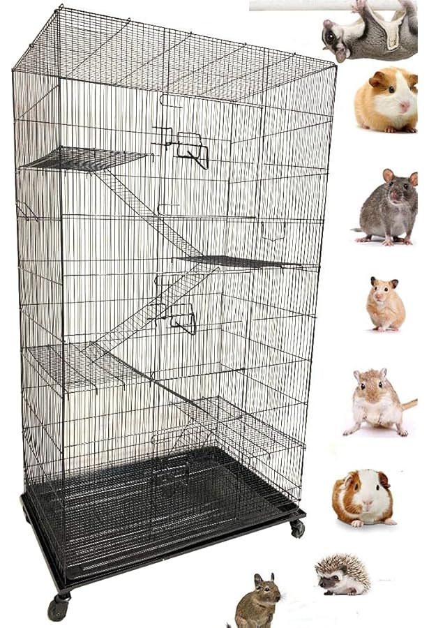 degu cage amazon