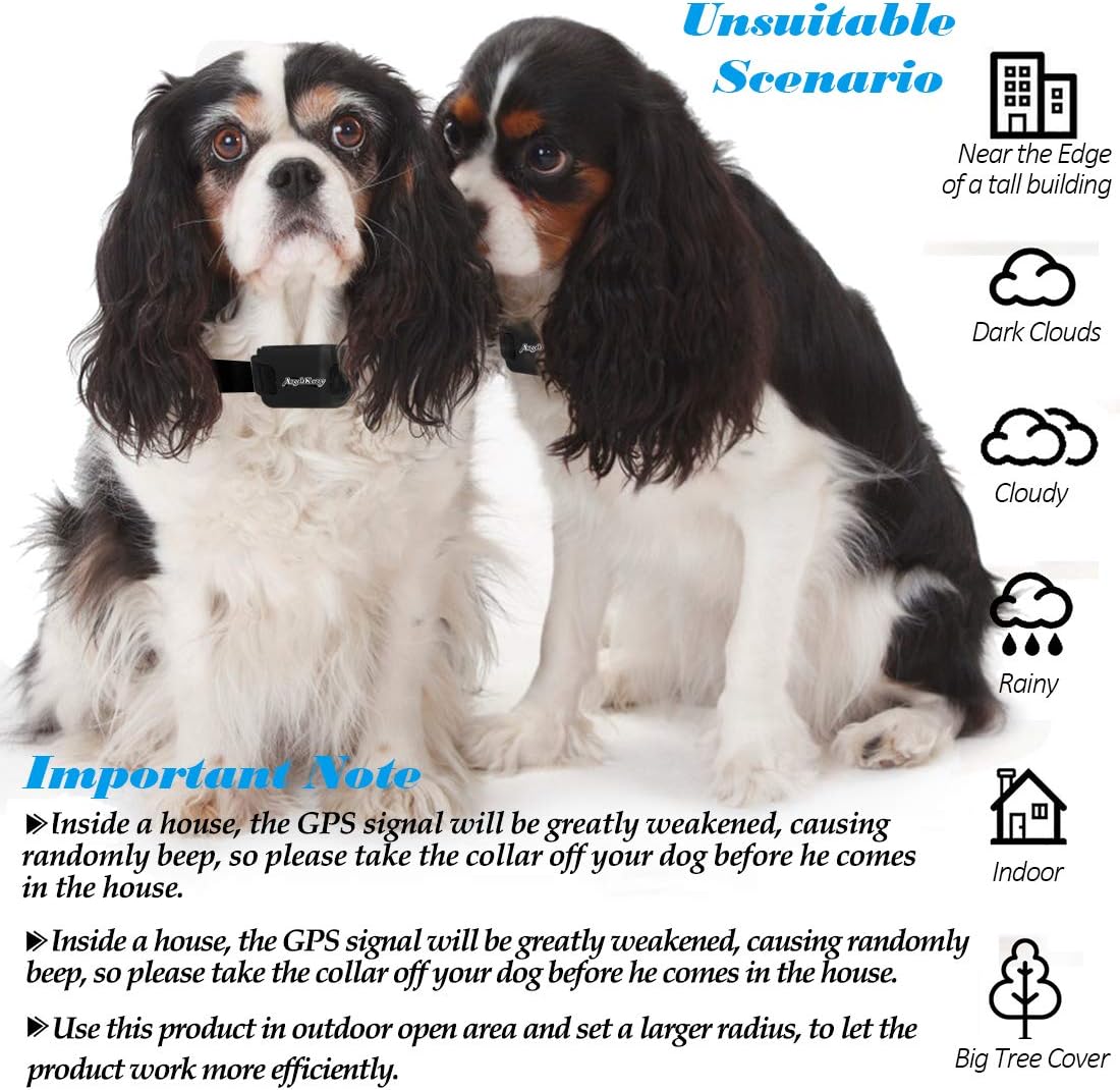 angelakerry wireless dog fence system