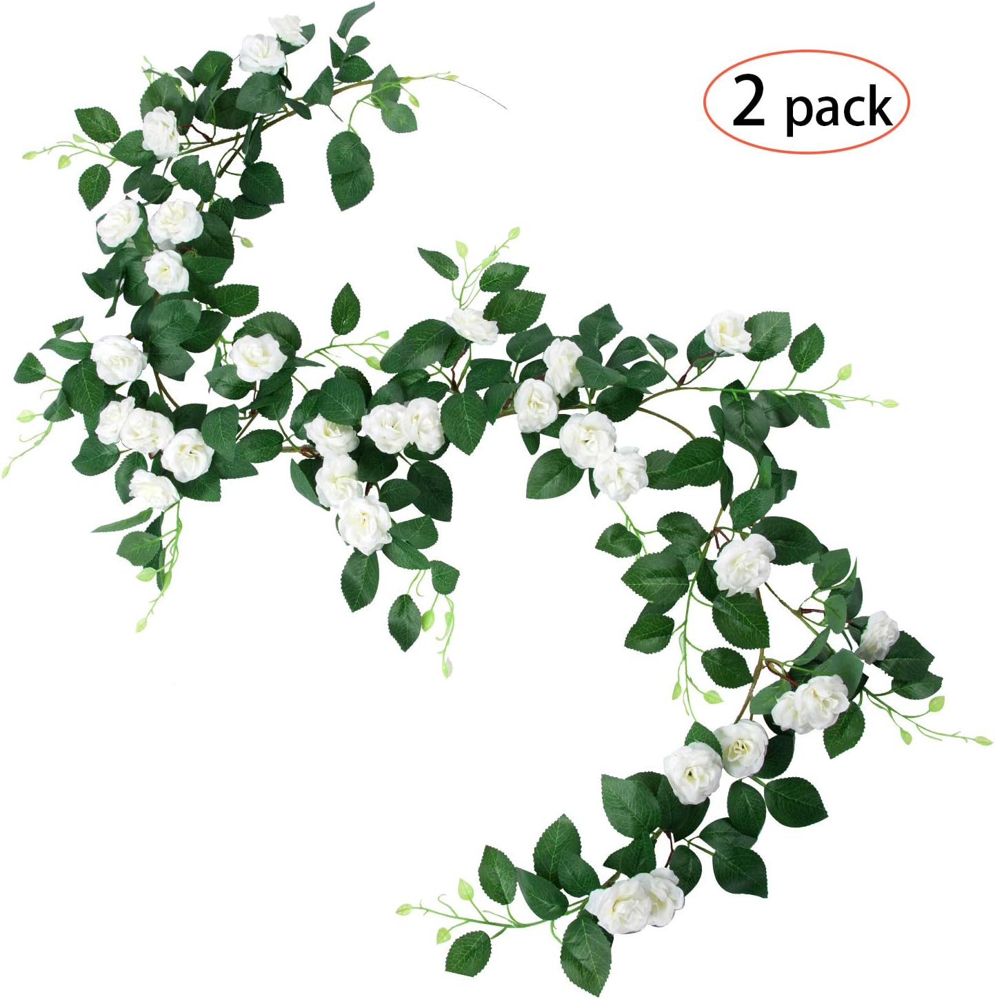 Best White Wire Garden Arch