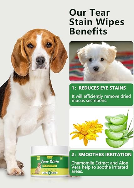 GJYC PET 3.2 INCH DOG EYE WIPES – TEAR STAIN REMOVER FOR DOGS, GENTLE FORMULA FOR CATS AND DOGS, QUICK CARE FOR BRIGHT FUR, THICK, SOFT AND SKIN-FRIENDLY, LARGE SIZE, 120PCS
