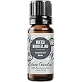 Edens Garden Winter Wonderland Essential Oil Blend- 100% Pure Premium Grade, Undiluted, Natural, Therapeutic, Aromatherapy, The Best for Diffusing, Candle, Laundry, Humidifiers 10 ml (.33 fl oz)