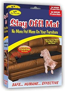 small colorful tropical fish