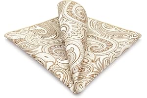 S&W SHLAX&WING Mens Pocket Square Paisley Multicolor Large for Business Wedding