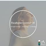 Absolute Aromas Eucalyptus Essential Oil 10ml - Pure & Natural Aromatherapy view 7