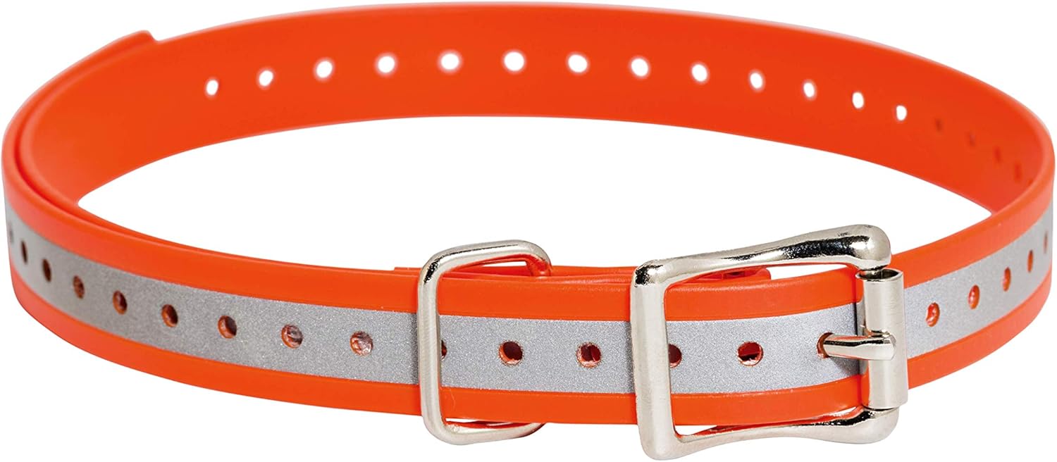 sweet potato is good for dogs