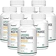 Orgabay Liposomal Nicotinamide Riboside 2000 MG with TMG and Pterostilbene, Boosting NAD+, Support Healthy Aging, 480 Count