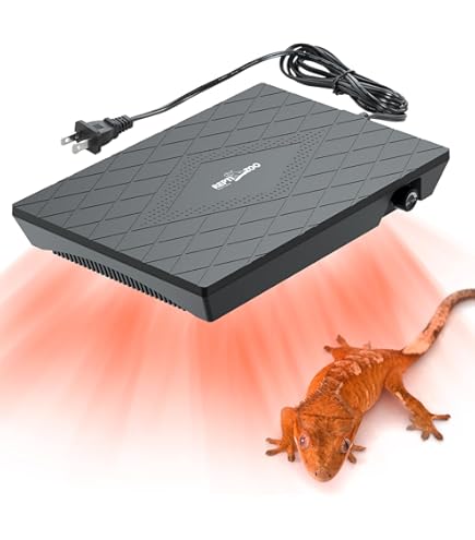 Amazon.com: Zoo Med 2 Pack of ReptiCare Rock Heaters, Mini, 5 Watt