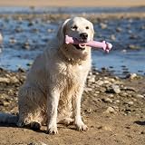 Petface Latex Loofahs Soft Chew Dog Toy One Supplied Colour Vary view 6
