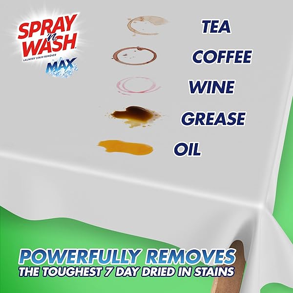 SPRAY ‘N WASH MAX LAUNDRY STRAIN REMOVER 16 OZ, PACKAGING MAY VARY