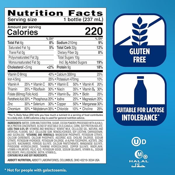 ENSURE ORIGINAL DARK CHOCOLATE NUTRITION SHAKE | MEAL REPLACEMENT SHAKE | 6 COUNT (PACK OF 1)
