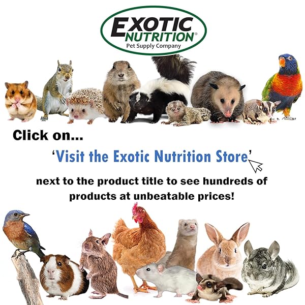 SQUIRREL-CAL 3.5 OZ. – ULTRA-FINE POWDERED CALCIUM SUPPLEMENT – FOR PET SQUIRRELS