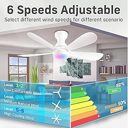 NKPU 42 Inch Ceiling Fans with Lights and