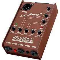 Amazon.com: LR Baggs Para Acoustic D.I. : Musical Instruments