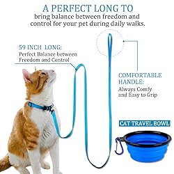 DOYOO 2 Pack Puppy Dog Leash Cat Leash, Strong and