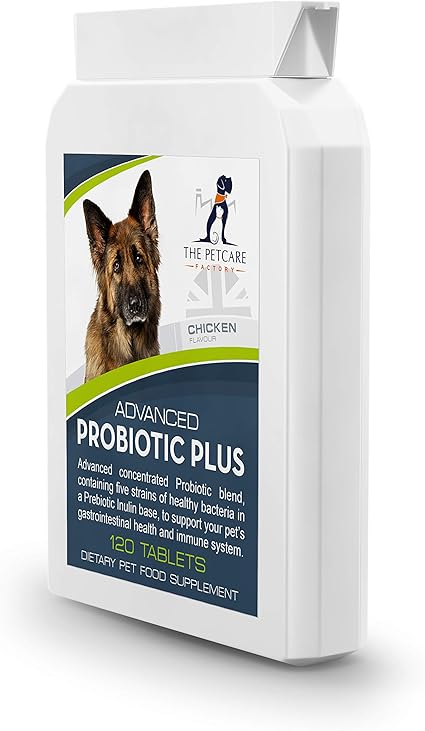 advanced probiotic plus for dogs