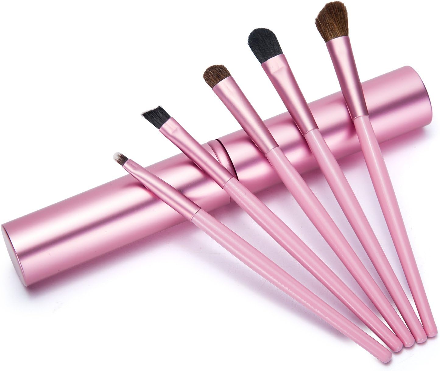 Aisxle 5 Piece Eye Makeup Brush Kit - Beauty and Travel Set - All In One - Soft Bristles and Easy to Carry - Easy to Use - Professional Eyeshadow Brush Makeup Kit - Full Set of Eye Brushes Whenever You Need Them - Perfect for Smokey Eye and More