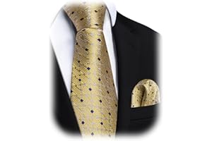 YourTies Silk Pre Tied Zipper Boys Tie Adjustable Necktie for Kid Ages 8-14 Wedding Graduation School Uniforms