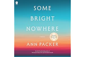 Some Bright Nowhere: A Novel