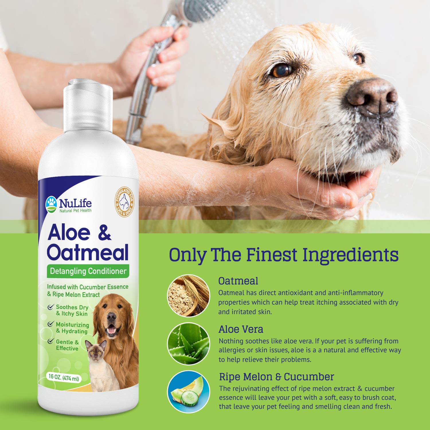 aloe vera for dogs itchy skin