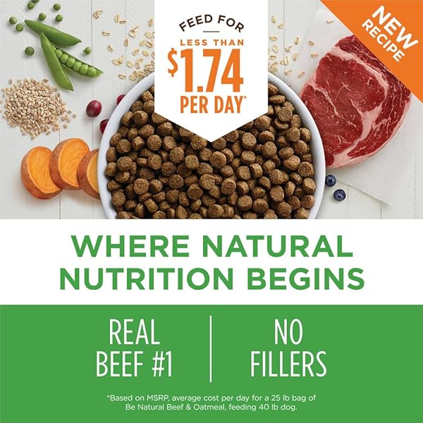 INSTINCT BE NATURAL, NATURAL DRY DOG FOOD, RAW COATED KIBBLE – REAL BEEF & BARLEY, 4.5 LB. BAG
