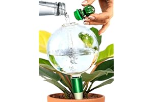 GARDENBRO Plant Watering Globes XL with Terracotta Self Watering Planter Insert - 16 Oz Glass Self Watering Globes for Indoor Plants - Automatic Plant Waterer Indoor Gifts for Plant Lovers [Transparent]