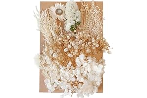 Focenat Real Dried Pressed Flowers for Crafts, A5 Size Mixed Multiple Natural Dried Flowers Leaves for Wedding Art DIY Resin 