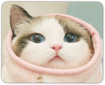 Amazon 可愛い猫のマウスパッドー滑り止め加工処理 防水材質 疲労軽減 マウスパット マウスパッド 通販