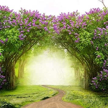 Amazon Com Ofila Enchanted Garden Backdrop Polyester Fabric 4x4ft Princess Wonderland Tea Party Photos Background Girls Magic Theme Baby Shower Photos School Events Video Background Birthday Portraits Props Electronics