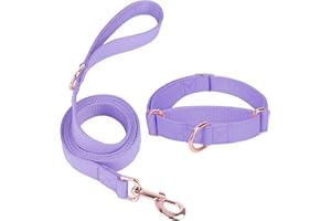 AAUFILUX Soft Leather Martingale Dog Collar - Adjustable Rose Gold Limited Slip Collars [Easy to Clean], Stylish Durable Heavy Duty Nylon No Pull Training Collar for Small Medium Large Dogs (S, Set Purple)