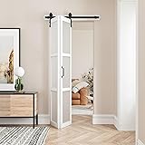 Paintable Bifold Barn Door, Fingerprint-Resistant 3