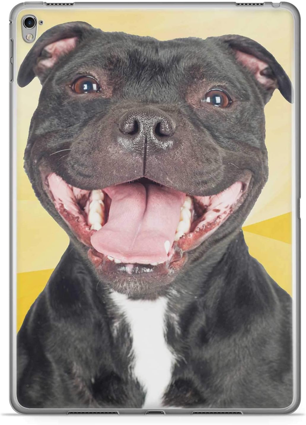 smiling staffordshire bull terrier