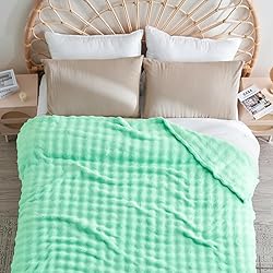 NEWCOSPLAY King Blanket for Couch Aqua Super Soft