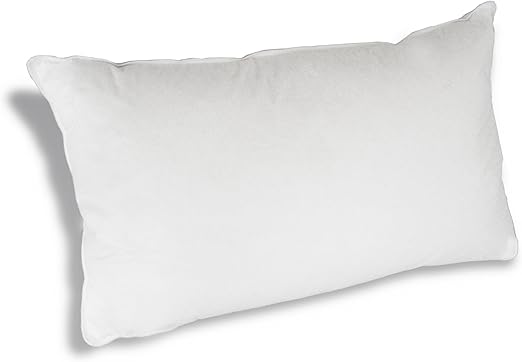 Amazon Com Down Etc White Goose Down Wrap Hypoallergenic Queen
